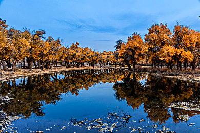 Bungie承认《马拉松》素材抄袭 有可能会跳票